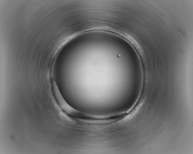 X0000115731001200911121508