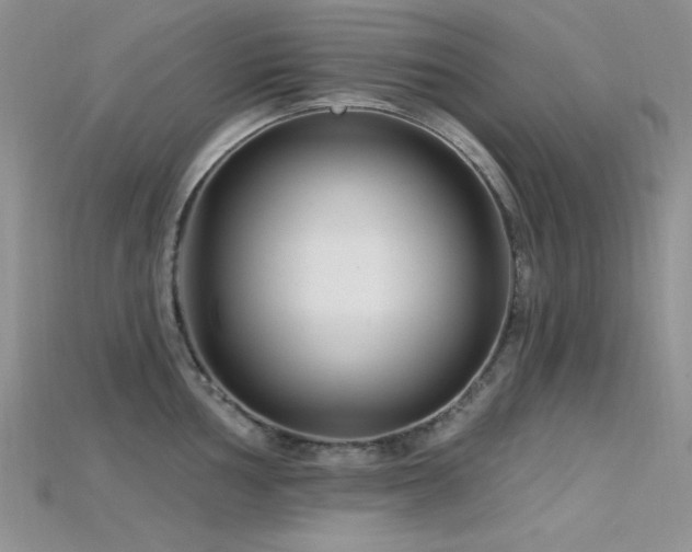 X0000115731002200911121508