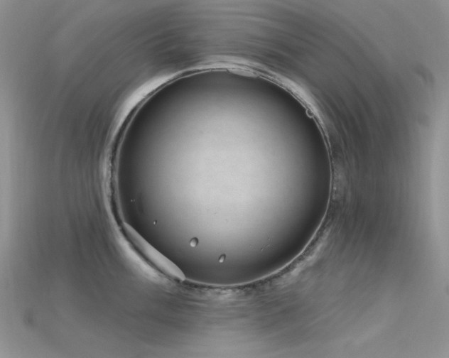 X0000115731003200911121508