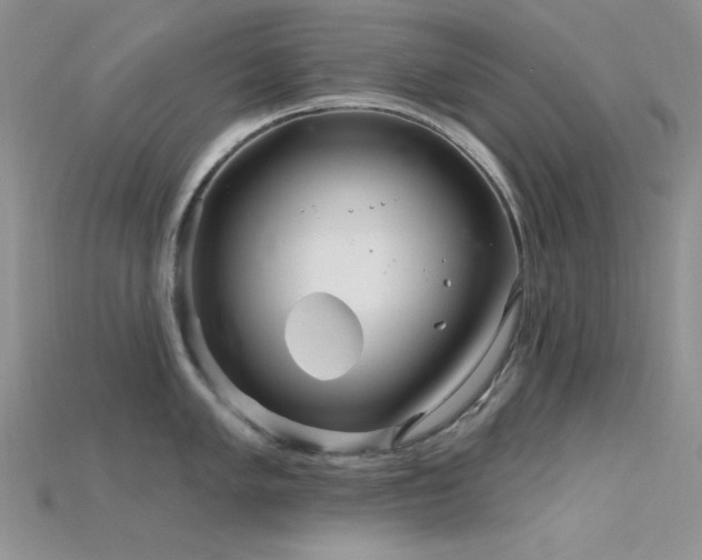 X0000115731005200911121508
