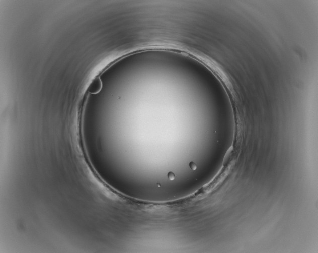 X0000115731006200911121508