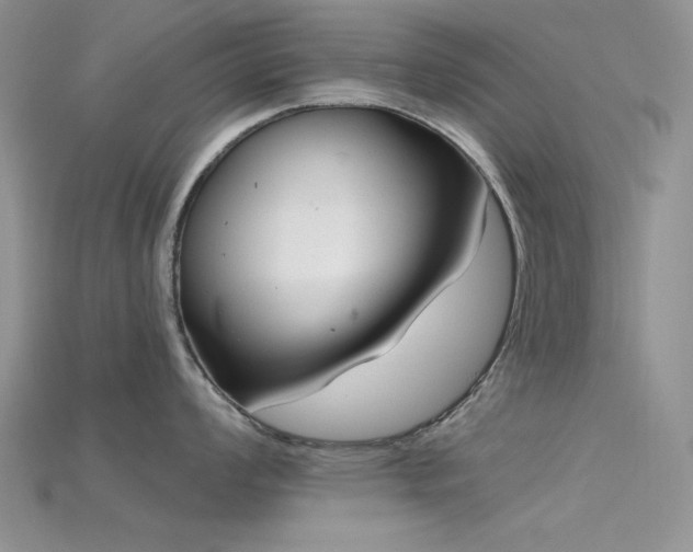 X0000115731008200911121508