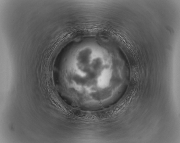X0000115731009200911121507