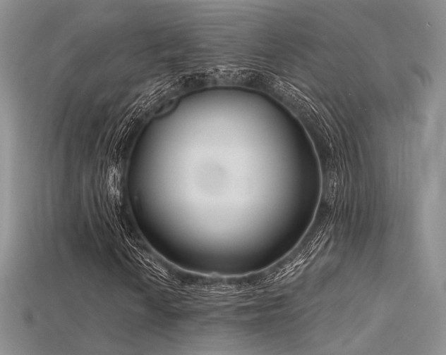 X0000115731010200911121507
