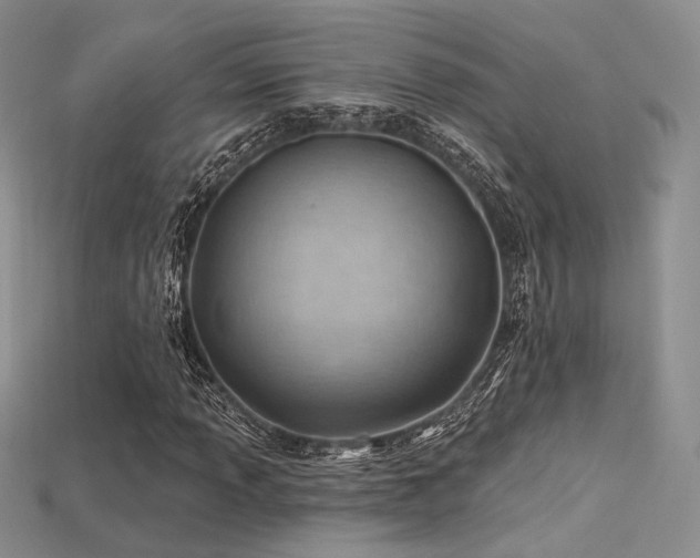 X0000115731013200911121507