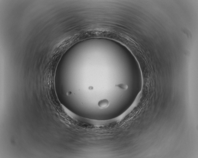 X0000115731014200911121507