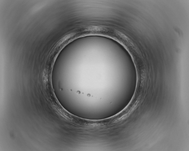 X0000115731017200911121507