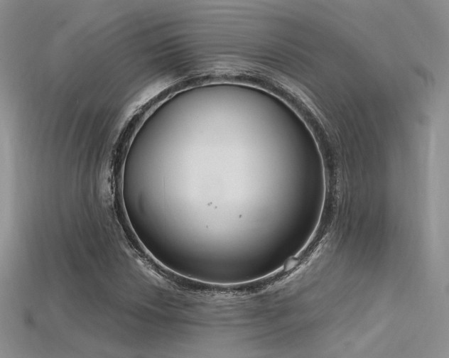 X0000115731018200911121507