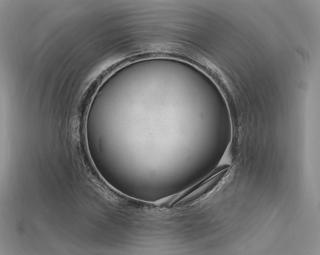 X0000115731019200911121507