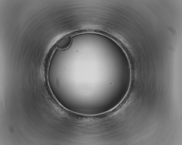 X0000115731022200911121507