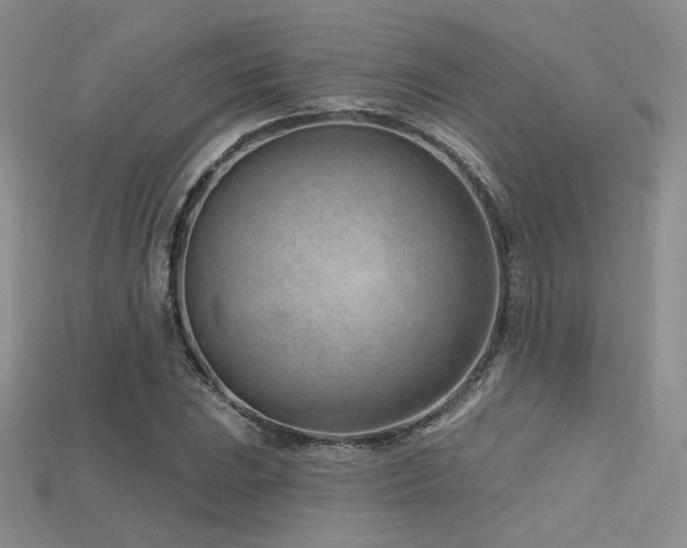 X0000115731023200911121507