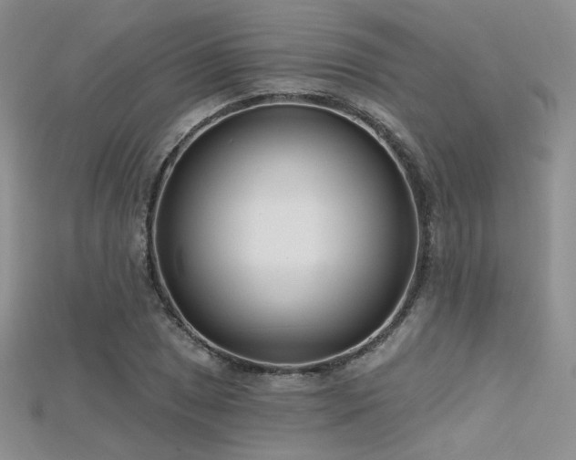X0000115731025200911121507