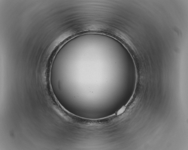 X0000115731026200911121507