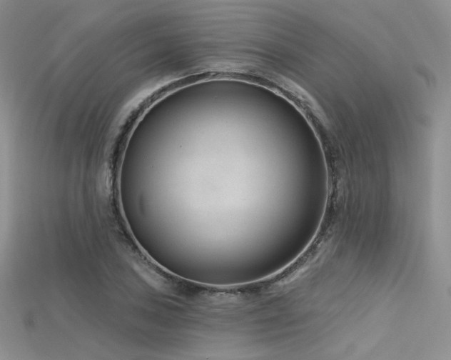 X0000115731027200911121507