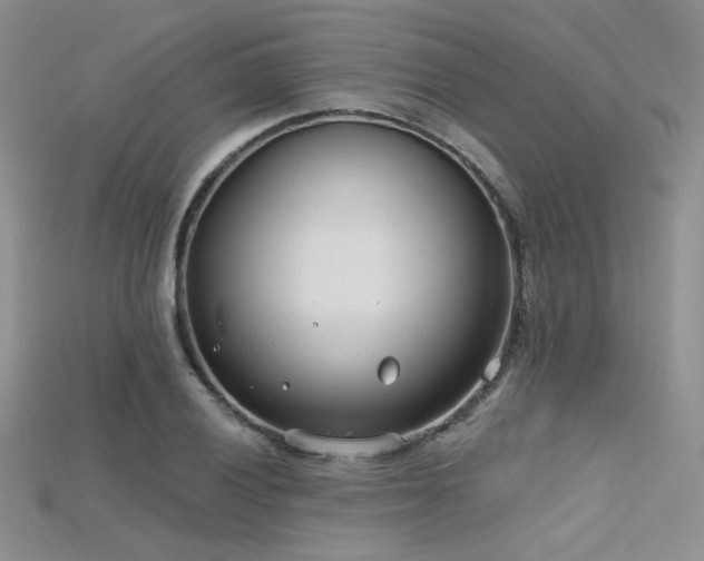 X0000115731028200911121507