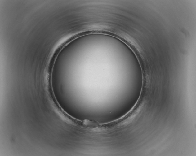 X0000115731029200911121507