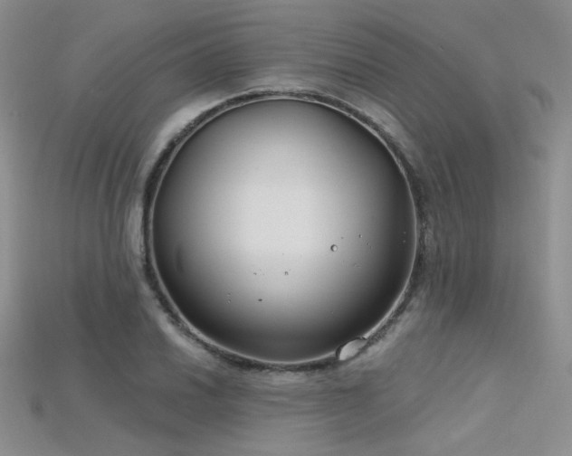 X0000115731030200911121507