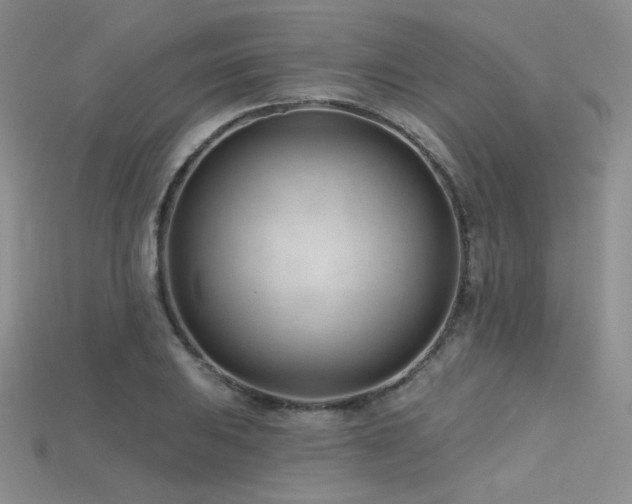 X0000115731031200911121507
