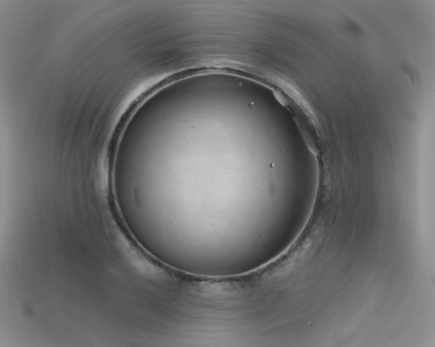 X0000115731032200911121507