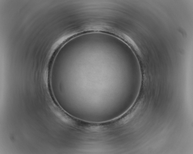 X0000115731035200911121507
