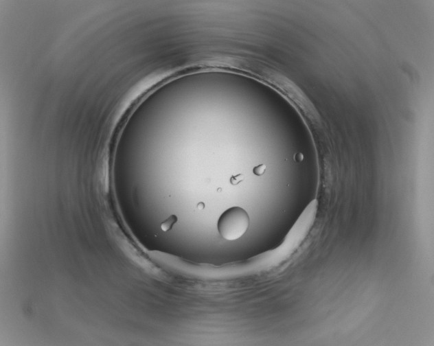 X0000115731036200911121507