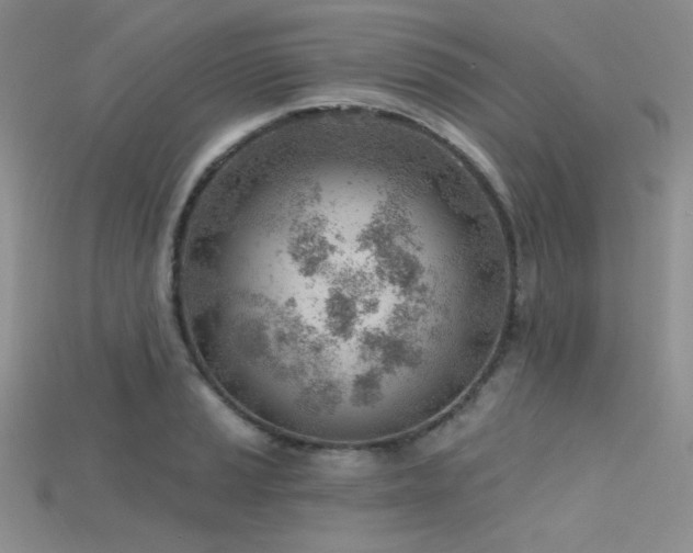X0000115731037200911121507