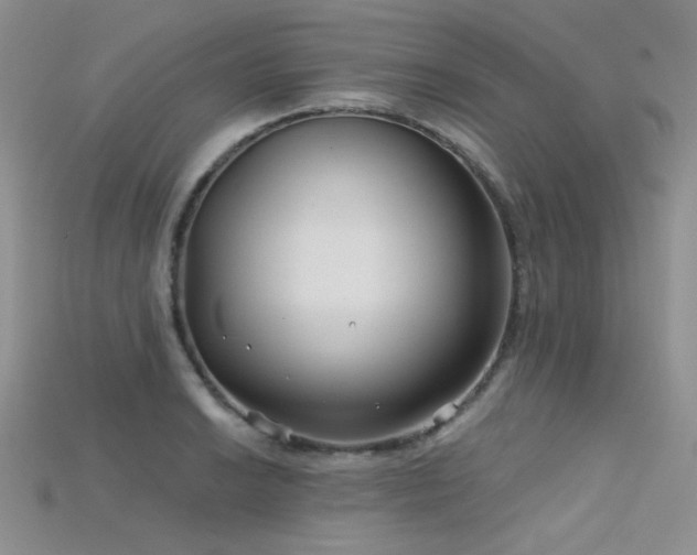 X0000115731038200911121507