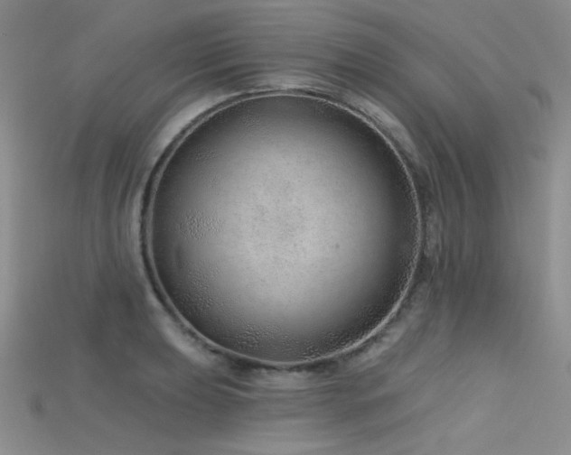 X0000115731039200911121507
