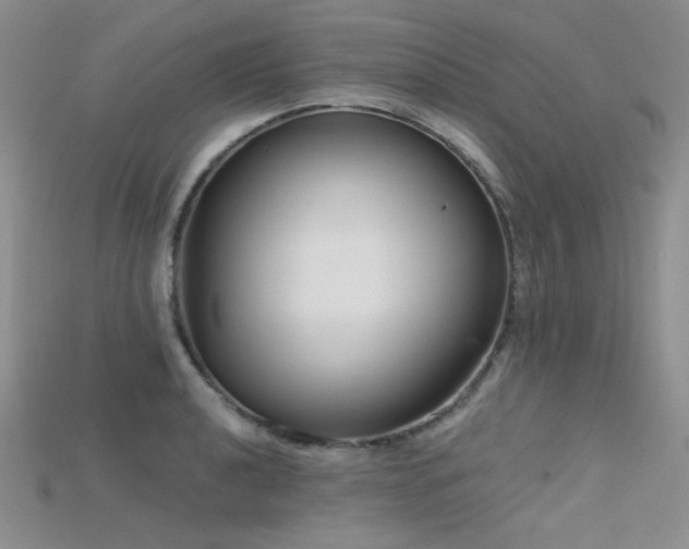 X0000115731040200911121507