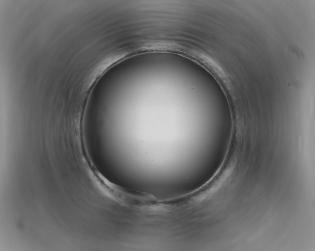 X0000115731041200911121507