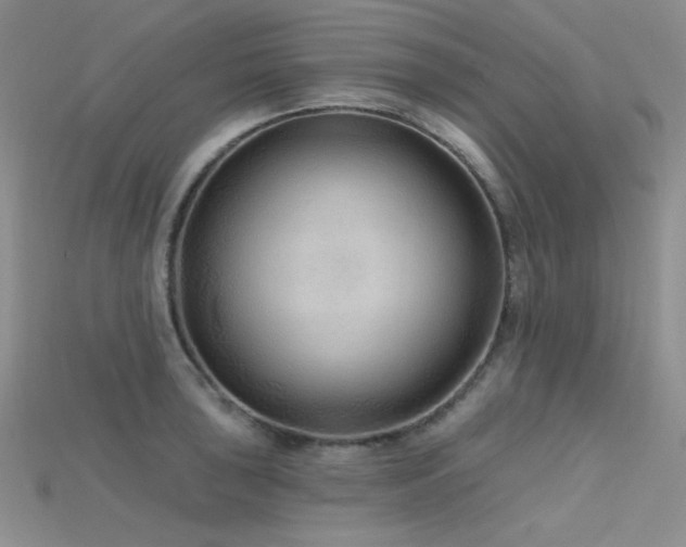 X0000115731043200911121507