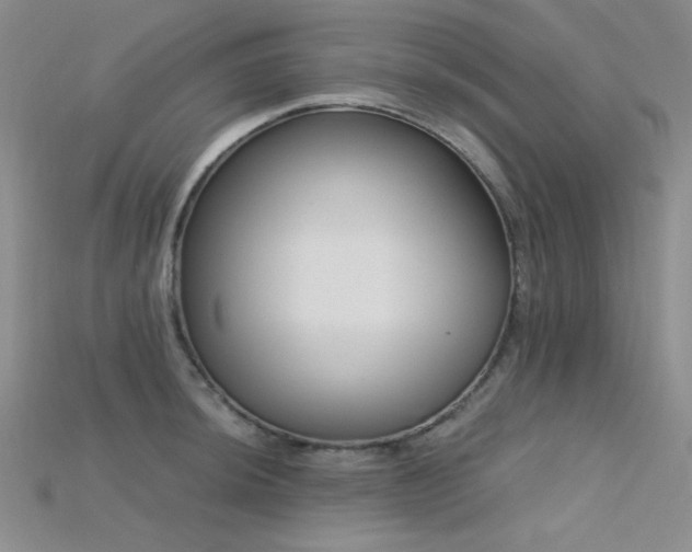 X0000115731044200911121507