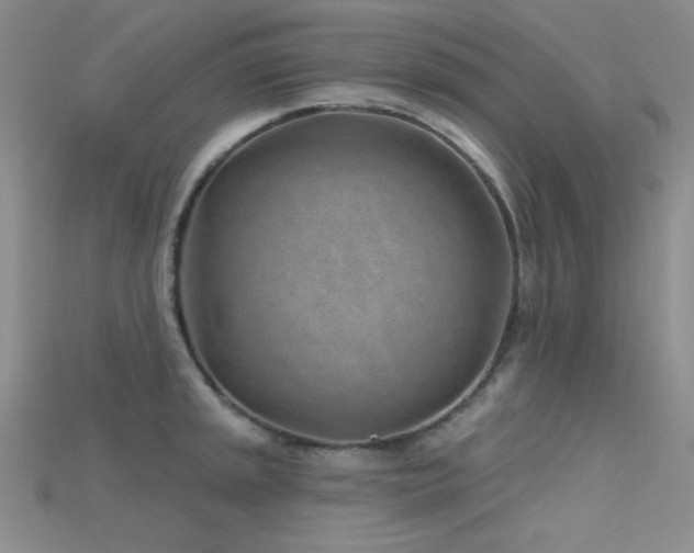 X0000115731045200911121507