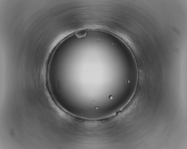 X0000115731046200911121507