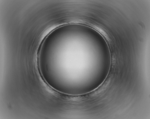 X0000115731047200911121507