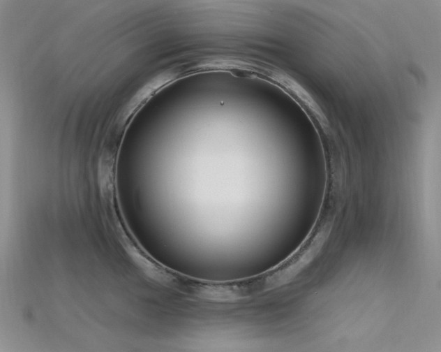 X0000115731049200911121507