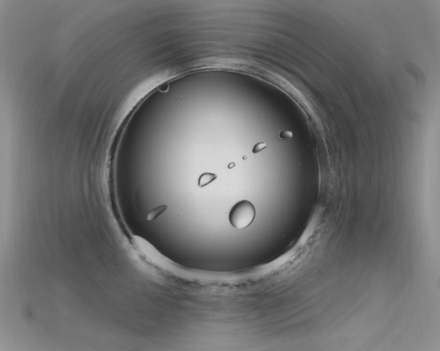 X0000115731050200911121507