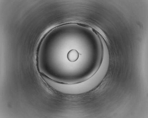 X0000115731051200911121508