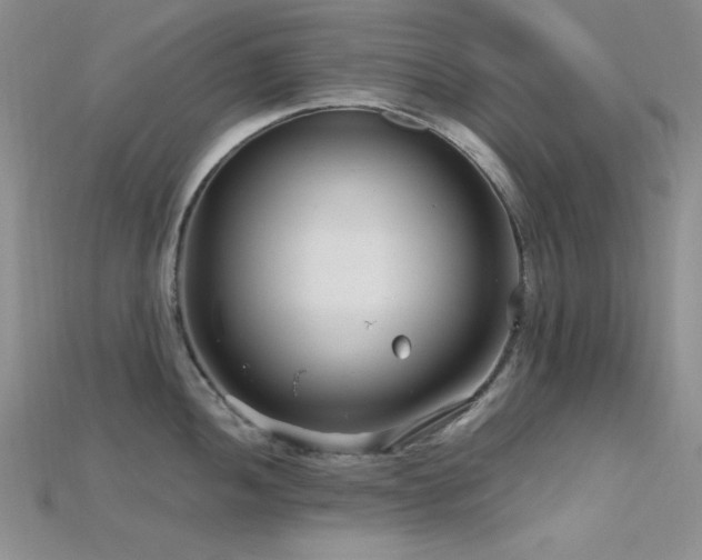 X0000115731052200911121508