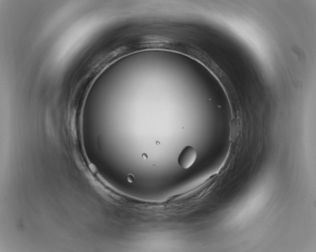 X0000115731054200911121508