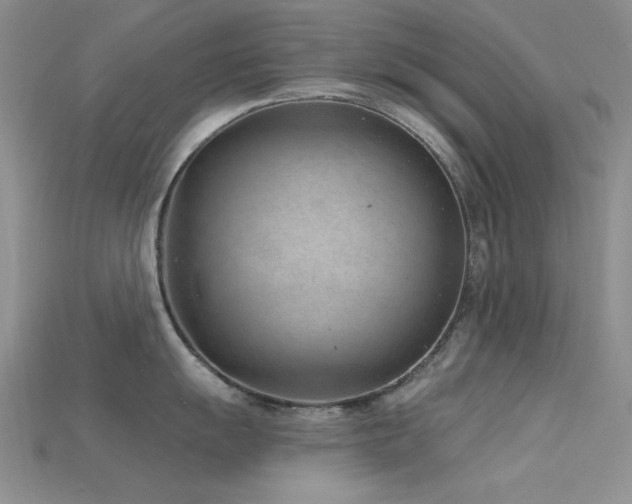 X0000115731055200911121508