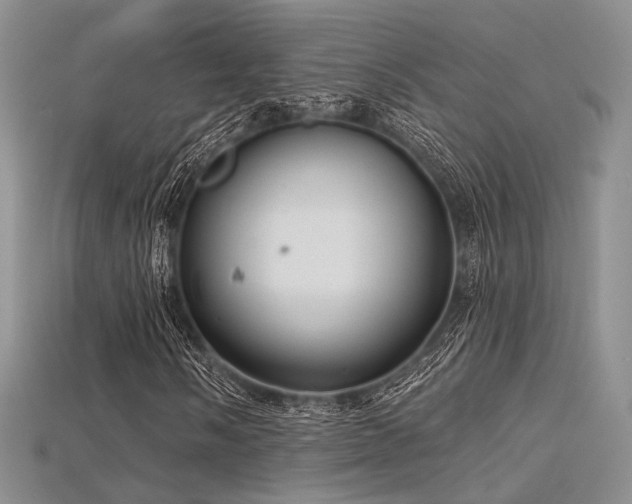 X0000115731058200911121507