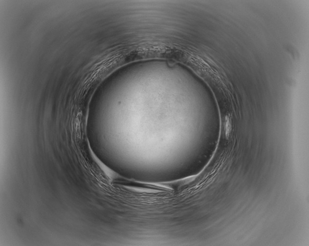 X0000115731059200911121507