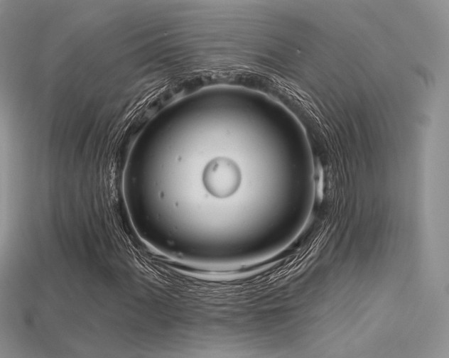 X0000115731060200911121507