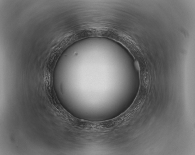 X0000115731061200911121507