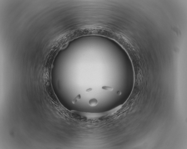 X0000115731062200911121507