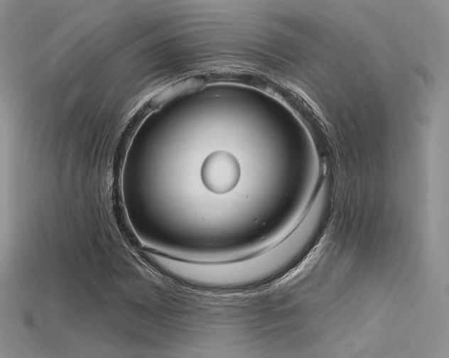 X0000115731065200911121507