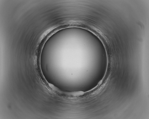 X0000115731066200911121507