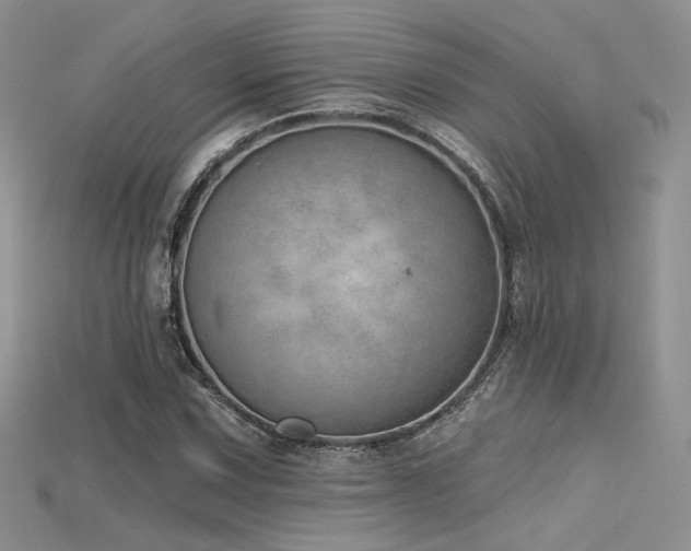 X0000115731067200911121507