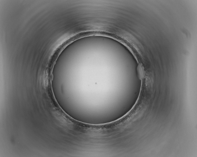 X0000115731069200911121507
